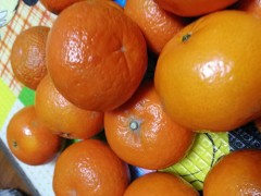 沃柑和橙子哪个营养价值高 沃柑天天吃对身体有危害吗