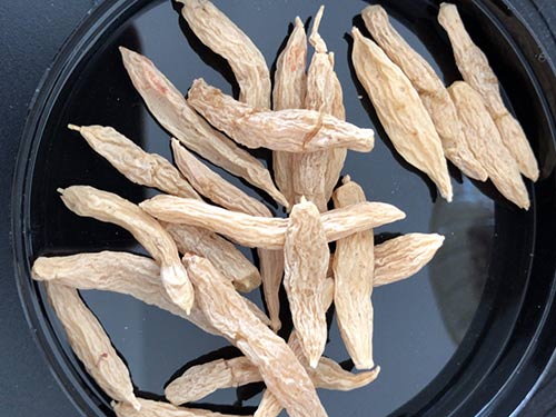 麦冬的功效与作用