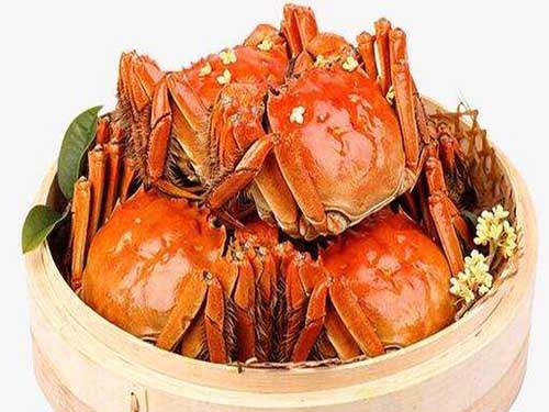 喂奶能吃螃蟹？??
