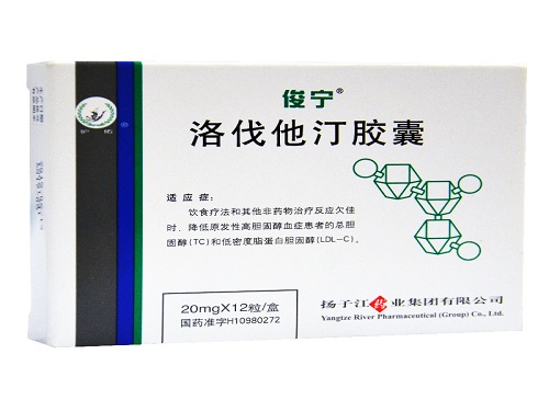 洛伐他汀胶囊的主要成分