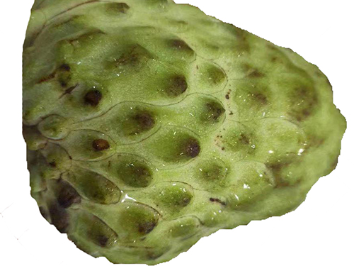 8_2021311181912197_4.jpg