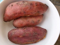 祛湿食物有哪些 推荐这三种