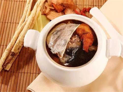 野生乌龟汤的功效与作用