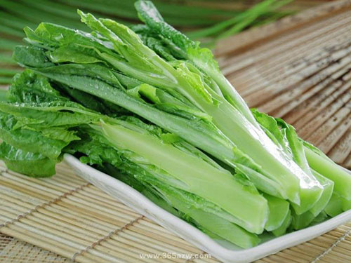 麦菜的功效与作用禁忌