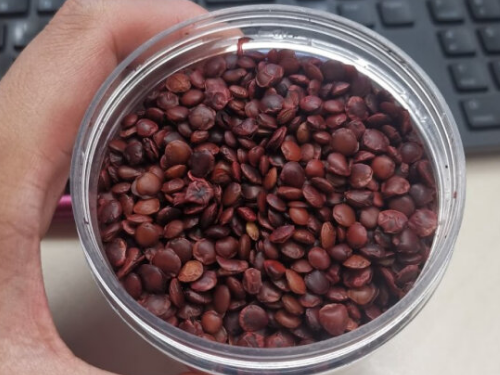 炒酸枣仁不能和什么一起吃 酸枣仁和什么中药相克