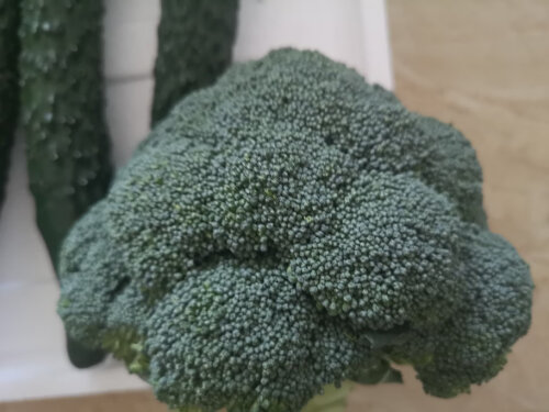 十大护肝食物 护肝食物哪个效果好