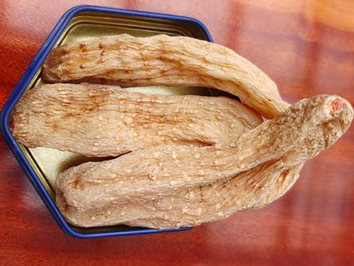 天麻钩藤颗粒副作用