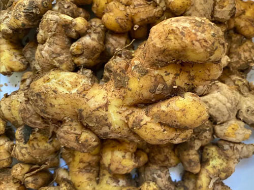补阳气吃什么食物好 补阳气的七种食物