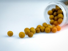 三种人不宜吃鹿鞭丸 鹿鞭丸的禁忌人群