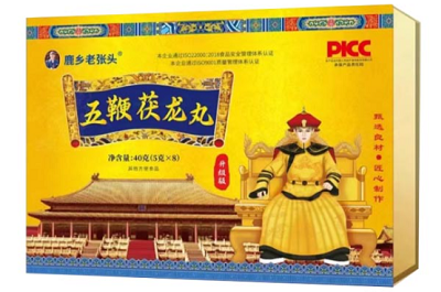 五鞭伏龙丸