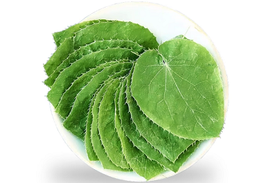 淫羊藿
